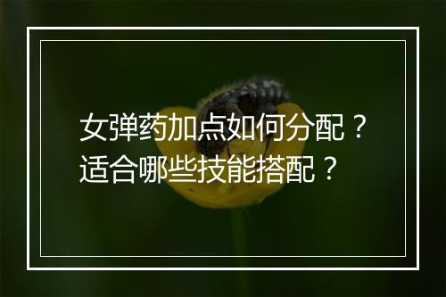 女弹药加点如何分配?适合哪些技能搭配?
