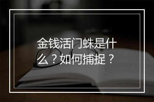 金钱活门蛛是什么?如何捕捉?