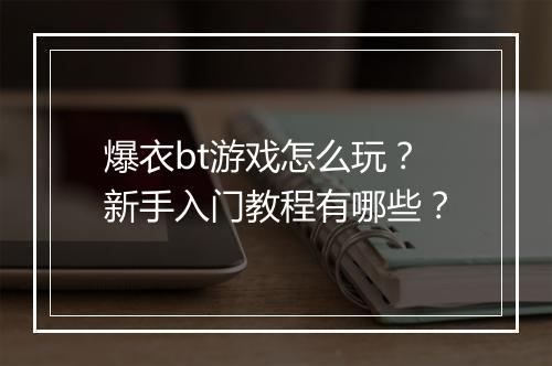 爆衣bt游戏怎么玩？新手入门教程有哪些？