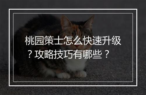桃园策士怎么快速升级?攻略技巧有哪些?