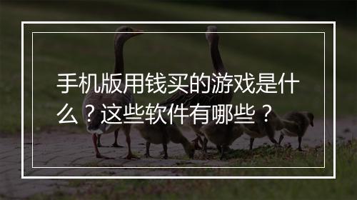 手机版用钱买的游戏是什么？这些软件有哪些？