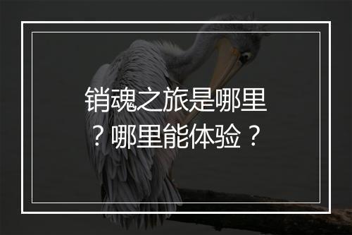 销魂之旅是哪里?哪里能体验?