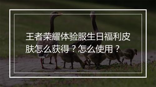 王者荣耀体验服生日福利皮肤怎么获得？怎么使用？