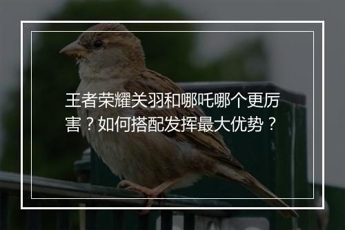 王者荣耀关羽和哪吒哪个更厉害？如何搭配发挥最大优势？