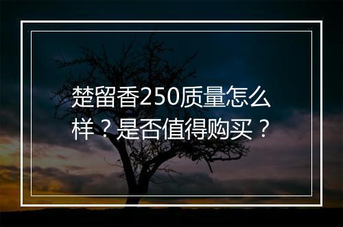 楚留香250质量怎么样？是否值得购买？