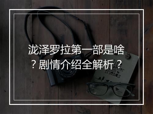 泷泽罗拉第一部是啥?剧情介绍全解析?