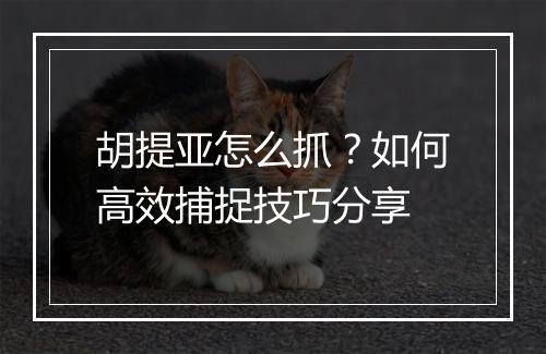 胡提亚怎么抓？如何高效捕捉技巧分享