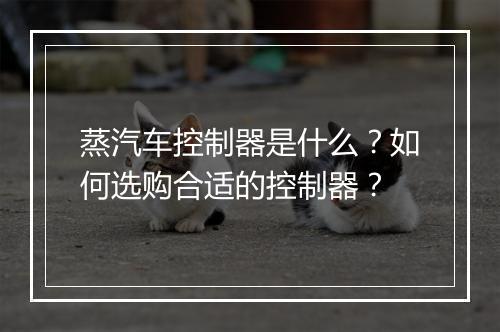 蒸汽车控制器是什么?如何选购合适的控制器?