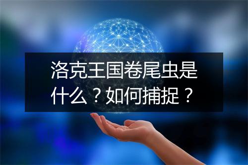 洛克王国卷尾虫是什么?如何捕捉?