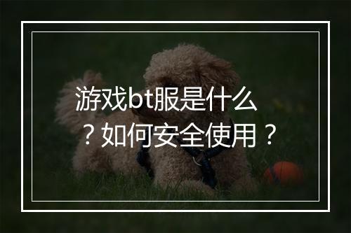 游戏bt服是什么？如何安全使用？