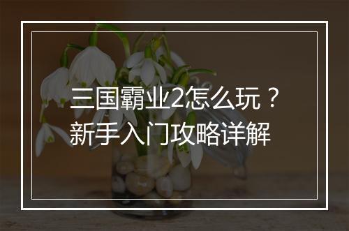 三国霸业2怎么玩?新手入门攻略详解