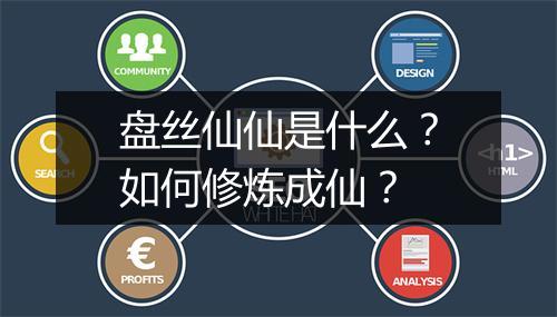 盘丝仙仙是什么?如何修炼成仙?