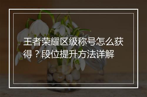王者荣耀区级称号怎么获得？段位提升方法详解