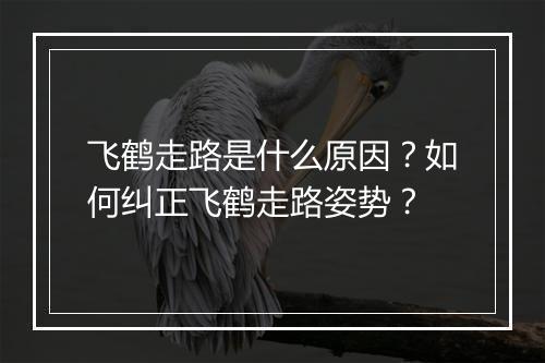 飞鹤走路是什么原因?如何纠正飞鹤走路姿势?