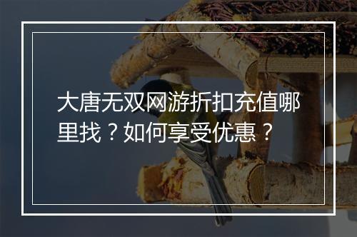 大唐无双网游折扣充值哪里找？如何享受优惠？