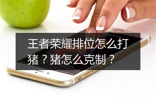 王者荣耀排位怎么打猪？猪怎么克制？