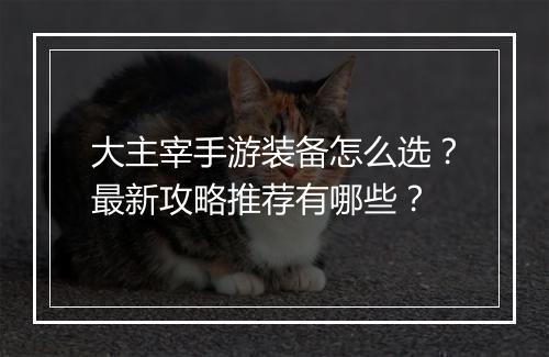 大主宰手游装备怎么选？最新攻略推荐有哪些？