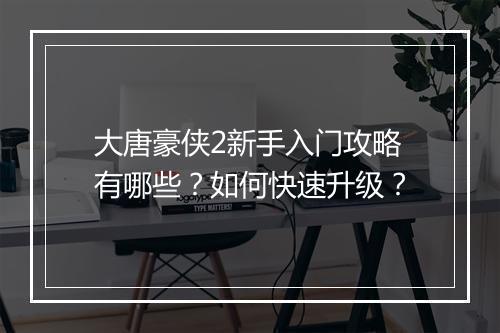 大唐豪侠2新手入门攻略有哪些？如何快速升级？