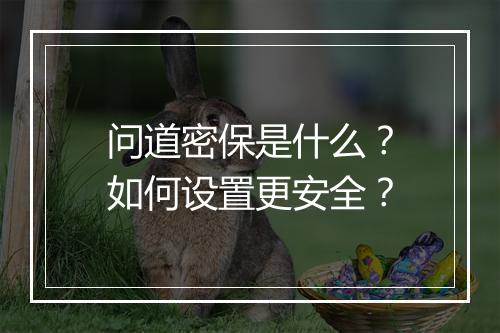 问道密保是什么?如何设置更安全?