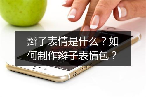 辫子表情是什么?如何制作辫子表情包?