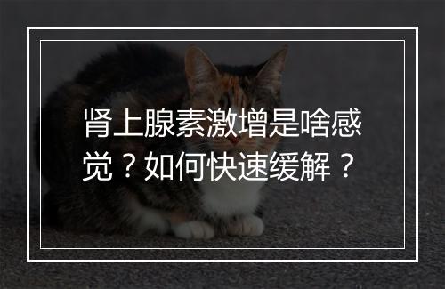 肾上腺素激增是啥感觉？如何快速缓解？