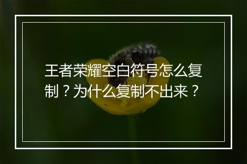 王者荣耀空白符号怎么复制？为什么复制不出来？