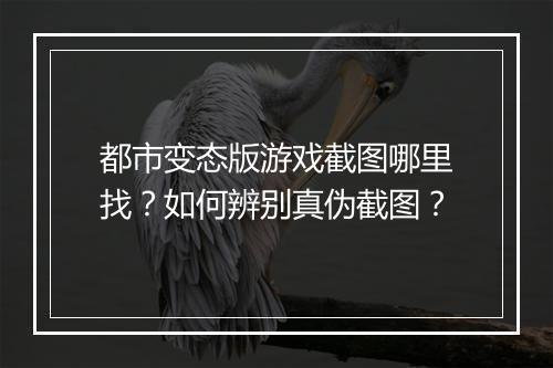 都市变态版游戏截图哪里找？如何辨别真伪截图？