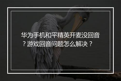 华为手机和平精英开麦没回音？游戏回音问题怎么解决？