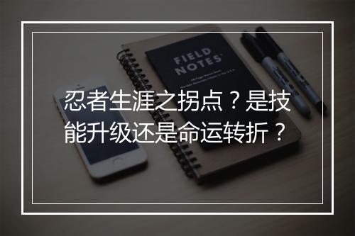 忍者生涯之拐点？是技能升级还是命运转折？