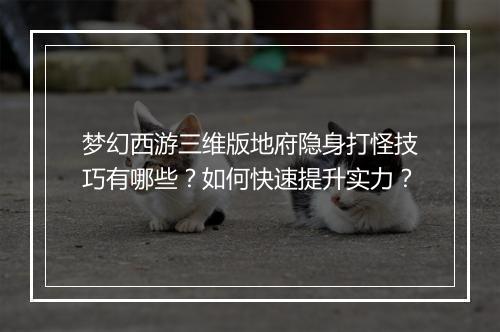 梦幻西游三维版地府隐身打怪技巧有哪些？如何快速提升实力？