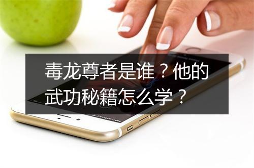 毒龙尊者是谁？他的武功秘籍怎么学？