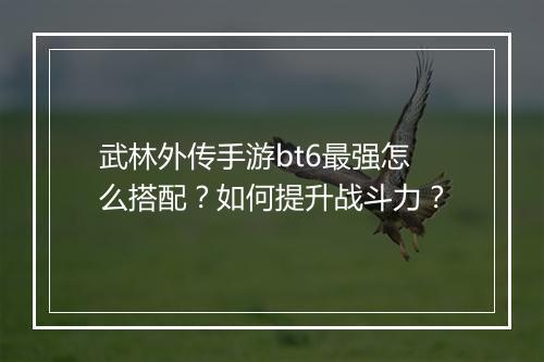 武林外传手游bt6最强怎么搭配？如何提升战斗力？