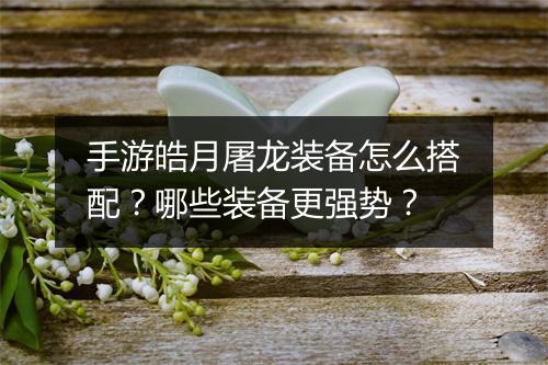 手游皓月屠龙装备怎么搭配？哪些装备更强势？