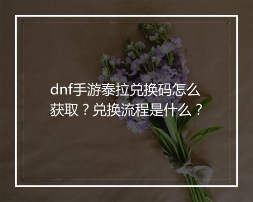 dnf手游泰拉兑换码怎么获取？兑换流程是什么？