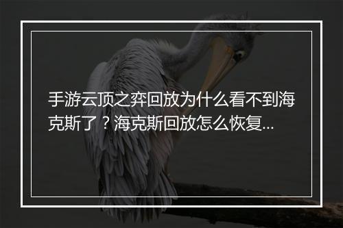 手游云顶之弈回放为什么看不到海克斯了？海克斯回放怎么恢复？