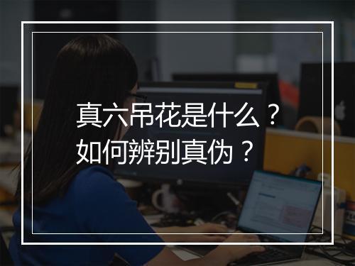 真六吊花是什么？如何辨别真伪？