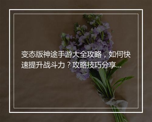 变态版神途手游大全攻略,如何快速提升战斗力?攻略技巧分享!