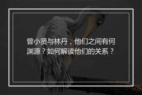 曾小贤与林丹,他们之间有何渊源?如何解读他们的关系?