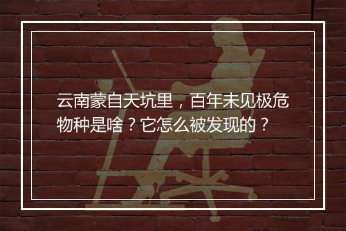 云南蒙自天坑里,百年未见极危物种是啥?它怎么被发现的?