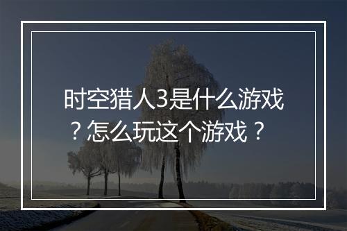 时空猎人3是什么游戏？怎么玩这个游戏？