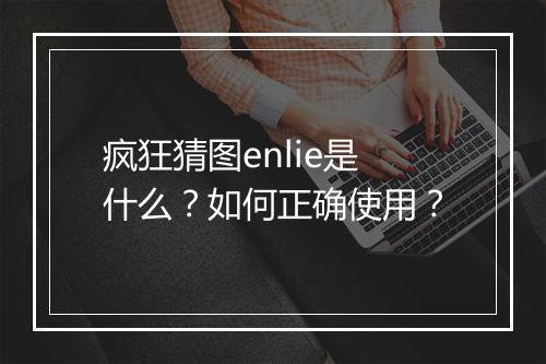 疯狂猜图enlie是什么？如何正确使用？