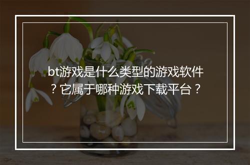 bt游戏是什么类型的游戏软件？它属于哪种游戏下载平台？
