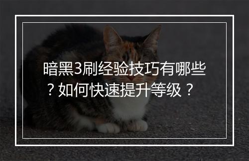 暗黑3刷经验技巧有哪些？如何快速提升等级？