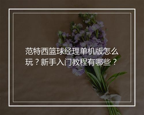 范特西篮球经理单机版怎么玩？新手入门教程有哪些？