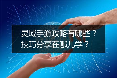 灵域手游攻略有哪些？技巧分享在哪儿学？