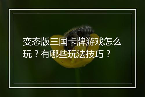 变态版三国卡牌游戏怎么玩？有哪些玩法技巧？