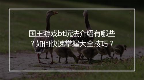 国王游戏bt玩法介绍有哪些？如何快速掌握大全技巧？