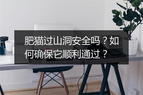 肥猫过山洞安全吗?如何确保它顺利通过?