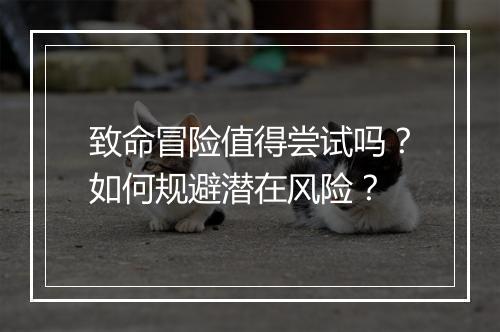 致命冒险值得尝试吗?如何规避潜在风险?