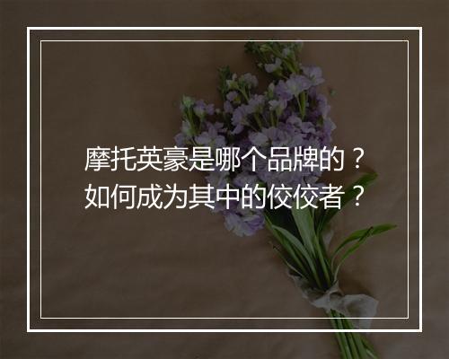 摩托英豪是哪个品牌的?如何成为其中的佼佼者?
